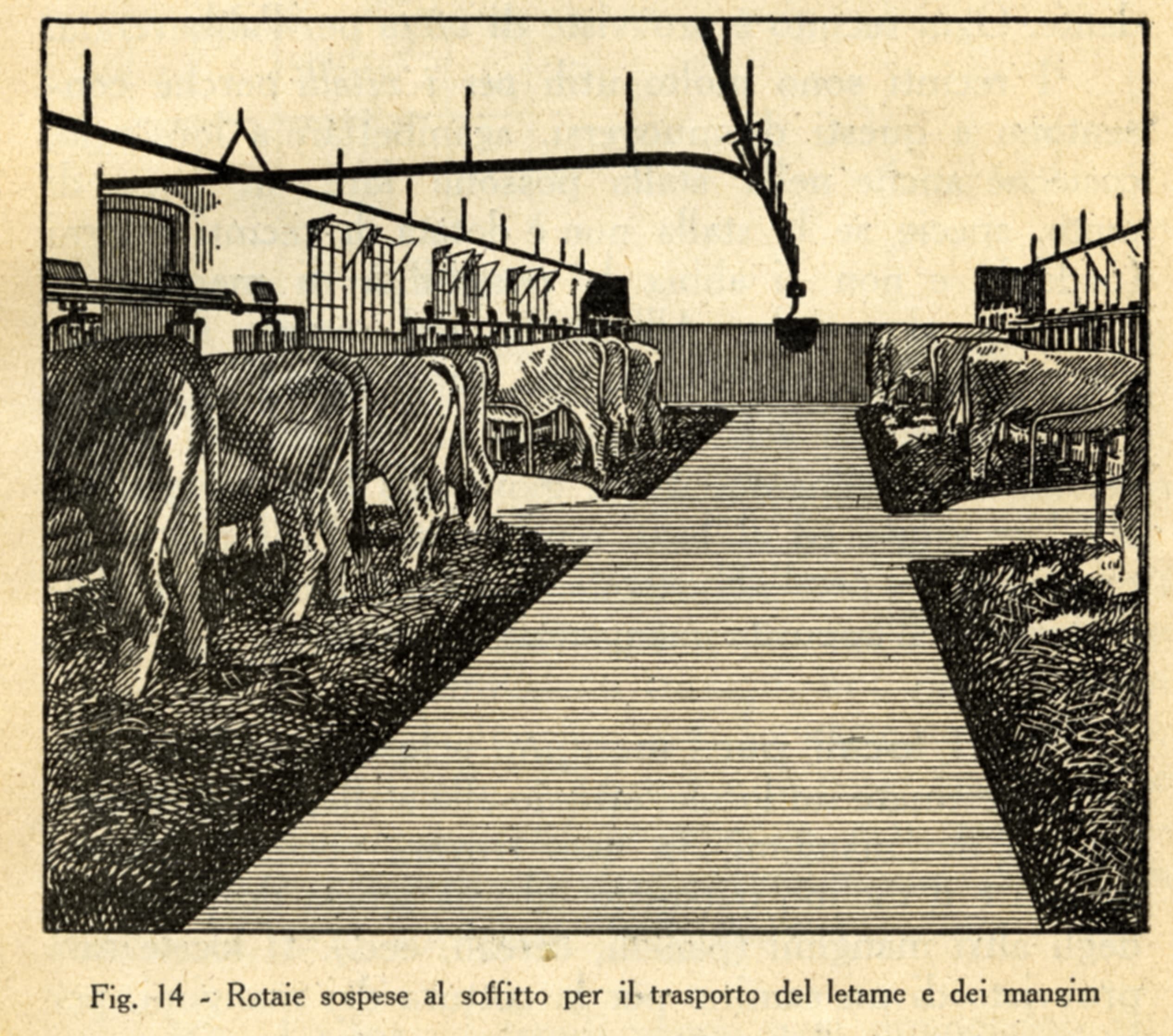 AnimalFarm Seminar Series (Fall): 
"Animal Farm": Philosophical Perspectives