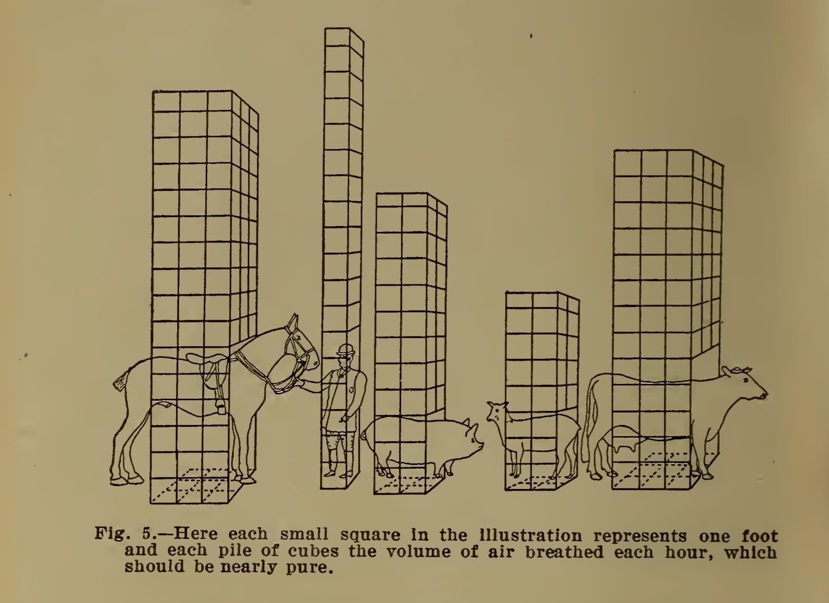 Panel at EAHN 2026 Conference: Animal, Industry, and Labor: Towards an Architectural History of Intensive Animal Farming