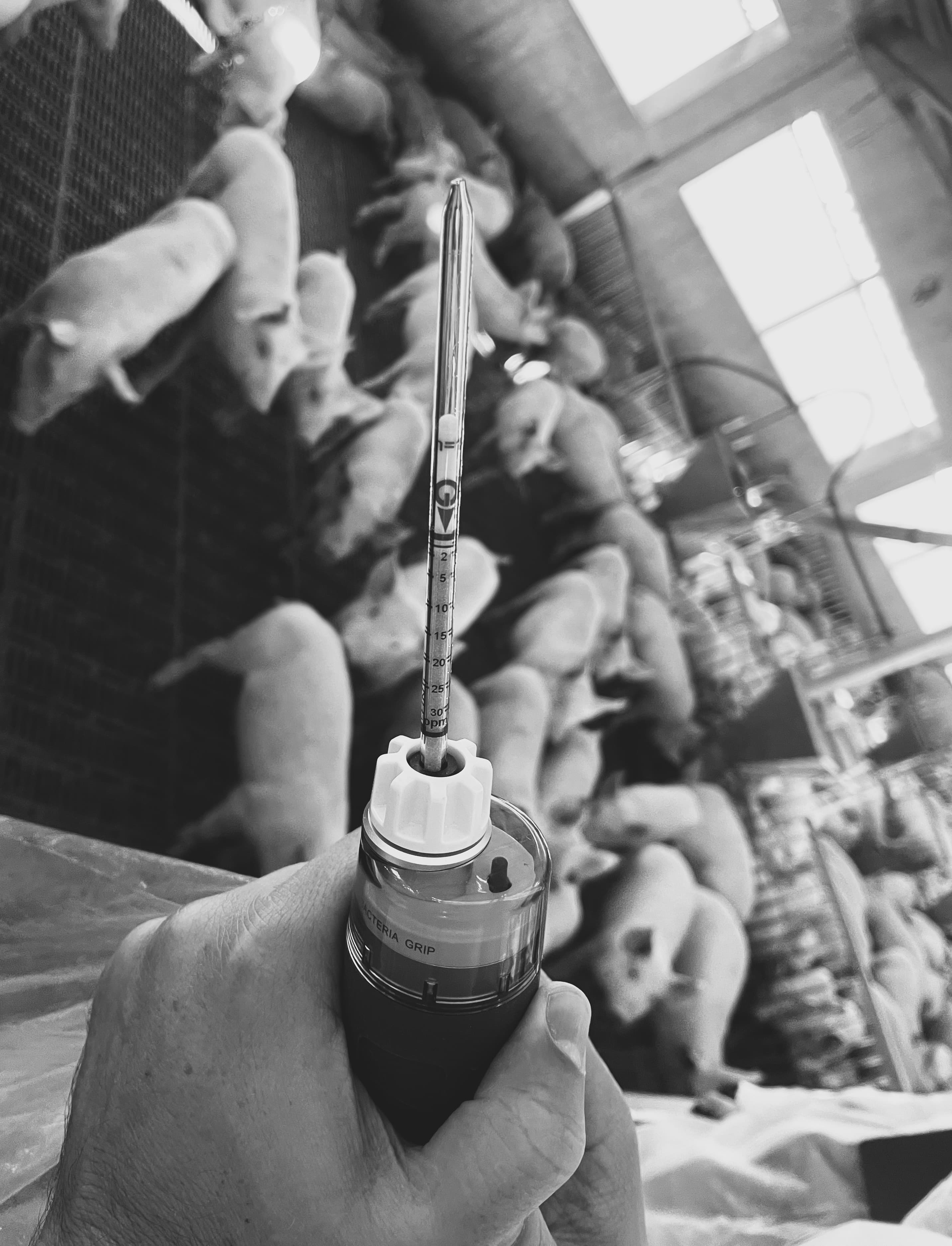 AnimalFarm Seminar Series: Senses of Confinement